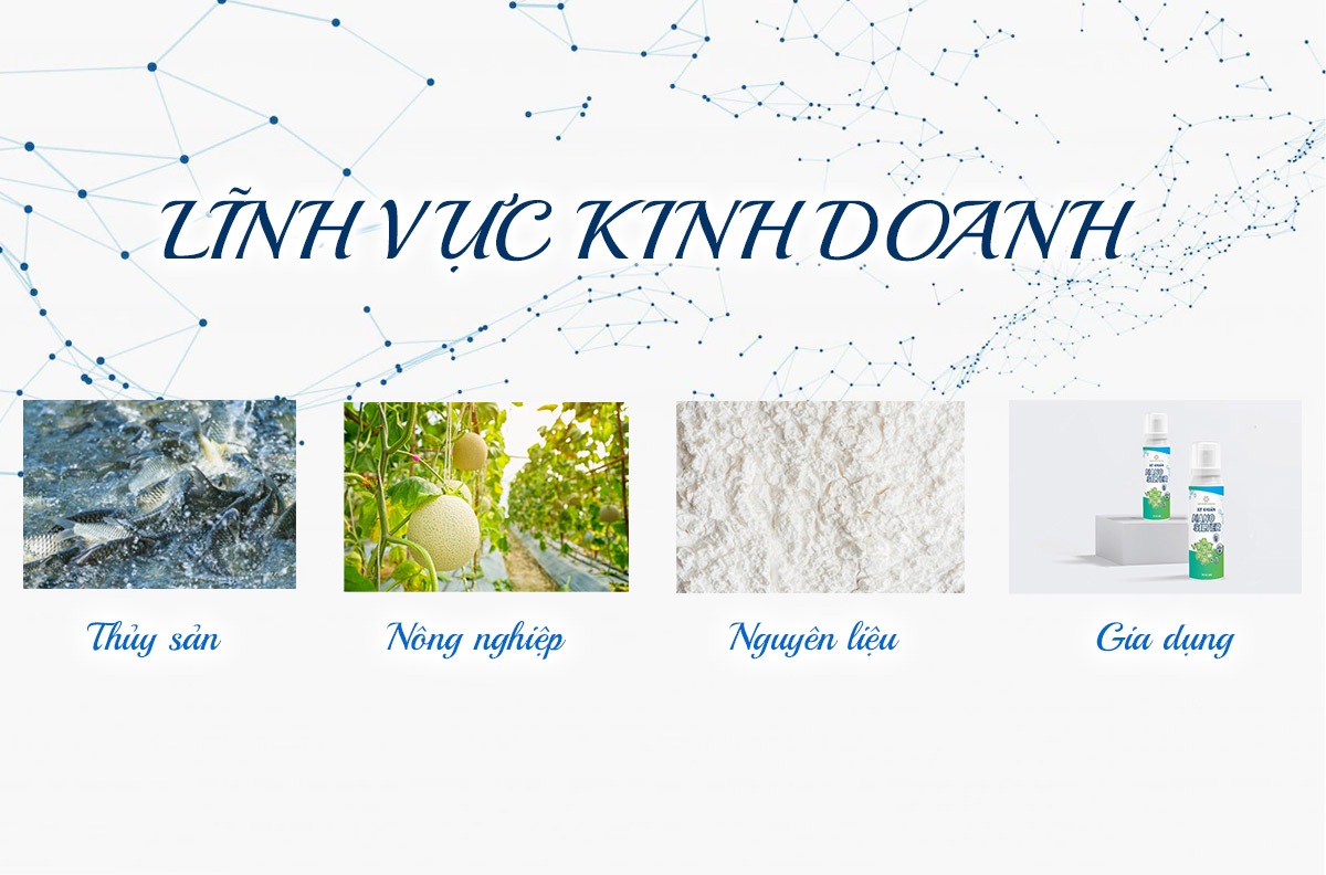 Lĩnh vực kinh doanh của Nano Việt Nam Technology