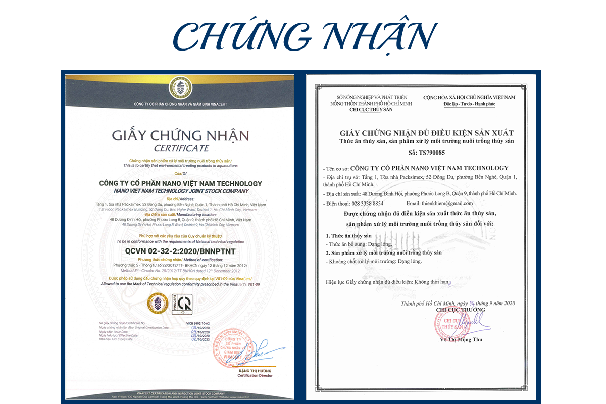 Chứng nhận nano