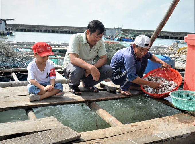 Dùng cá đánh bắt ngoài tự nhiên làm thức ăn nuôi cá biển là phương thức nuôi lợi bất cập hại, gây ảnh hưởng xấu đến nguồn lợi thủy sản, ô nhiễm môi trường và dễ lây lan dịch bệnh. 