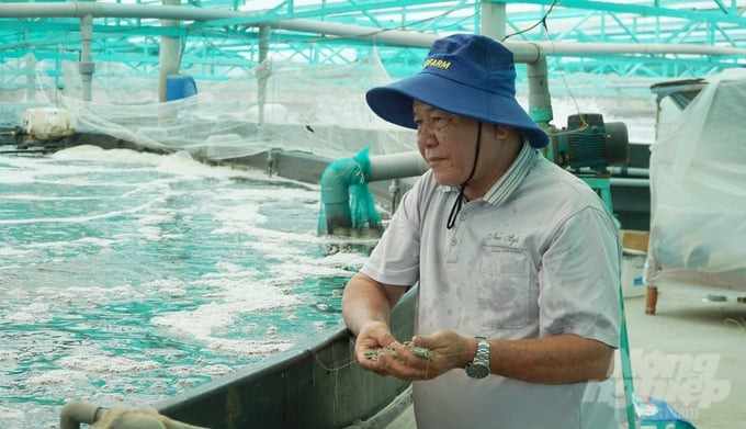 Ông Nguyễn Kim Chuyên, Giám đốc HTX Nông nghiệp Quyết Thắng mất ăn, mất ngủ vì giá tôm giảm mạnh.