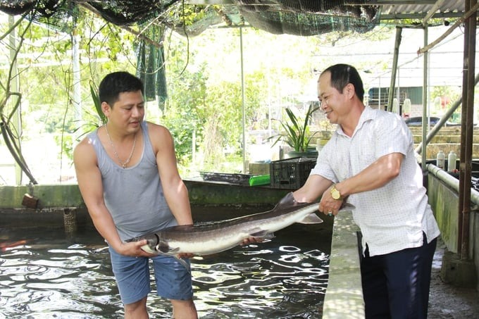 Những nghiên cứu về giống và kỹ thuật nuôi đã giúp thúc đẩy và hình thành nghề nuôi cá nước lạnh rất sôi động ở nước ta. 