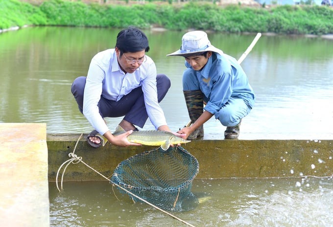 Các nghiên cứu về sản xuất giống và công nghệ nuôi cá tầm đã được người dân áp dụng rộng rãi trong sản xuất.