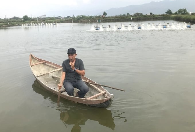 Người nuôi tôm ở Đông Điền, vùng nuôi tôm theo hướng an toàn sinh học xã Phước Thắng (huyên Tuy Phước, Bình Định), thất bại nặng do bệnh EHP. 