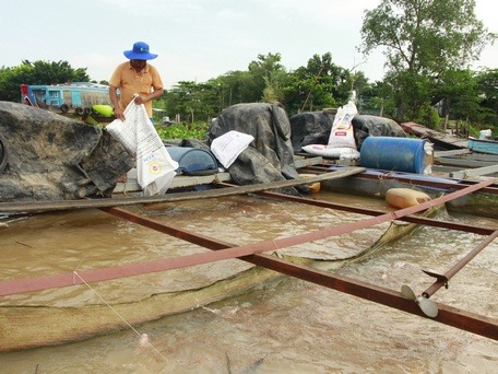 Bảo vệ thủy sản mua mưa bão