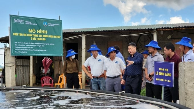 Ông Lê Quốc Thanh - Giám đốc Trung tâm Khuyến nông Quốc gia (thứ 4 từ phải sang) kiểm tra, đánh giá mô hình nuôi tôm đạt tiêu chuẩn VietGAP tại Hà Tĩnh. 