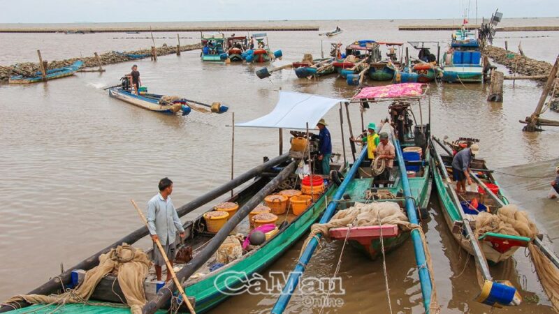 Mùa ruốc