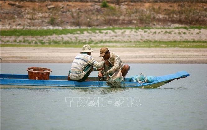 Ngư cụ đánh bắt cá