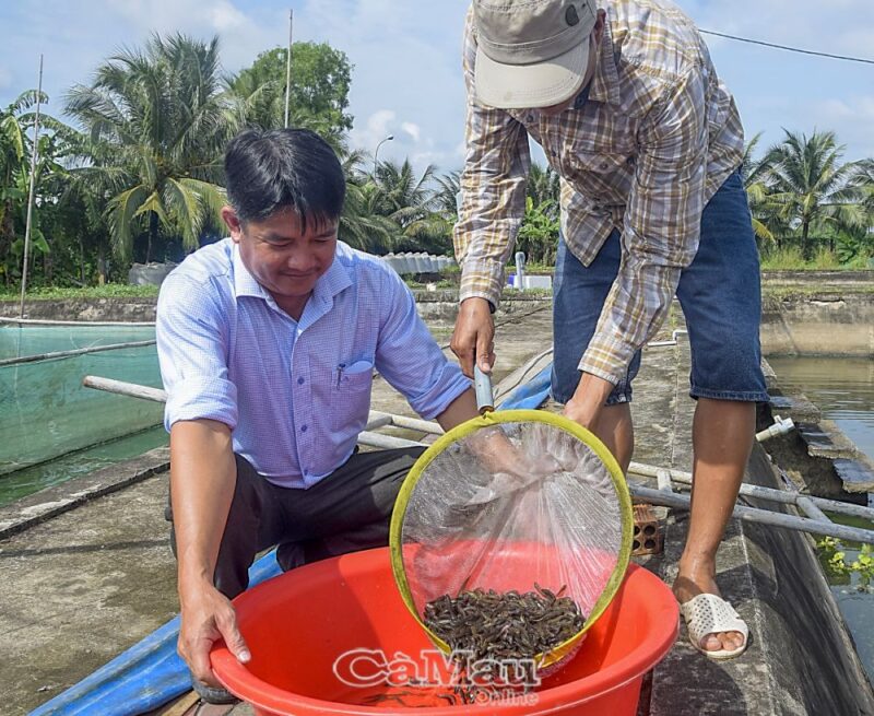 Tái tạo nguồn giống tự nhiên