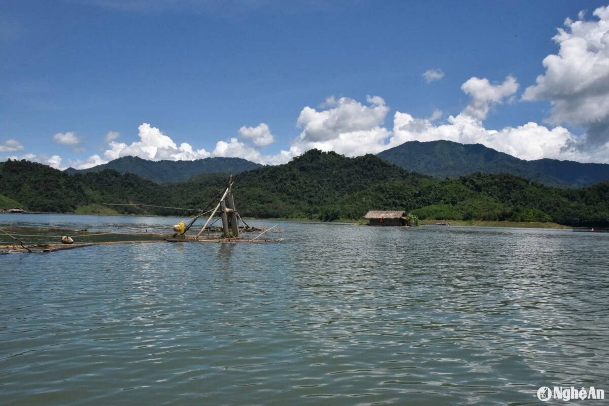 Nuôi cá từ thức ăn tự nhiên