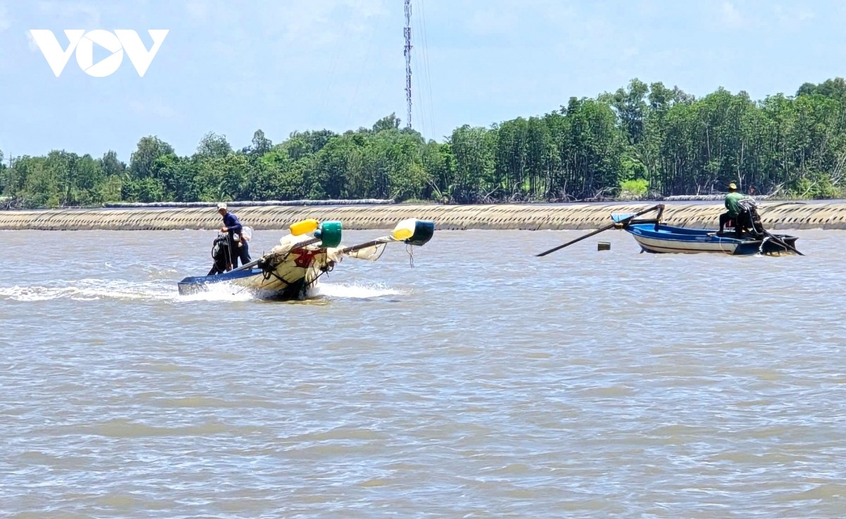 Ghe đánh bắt ruốc