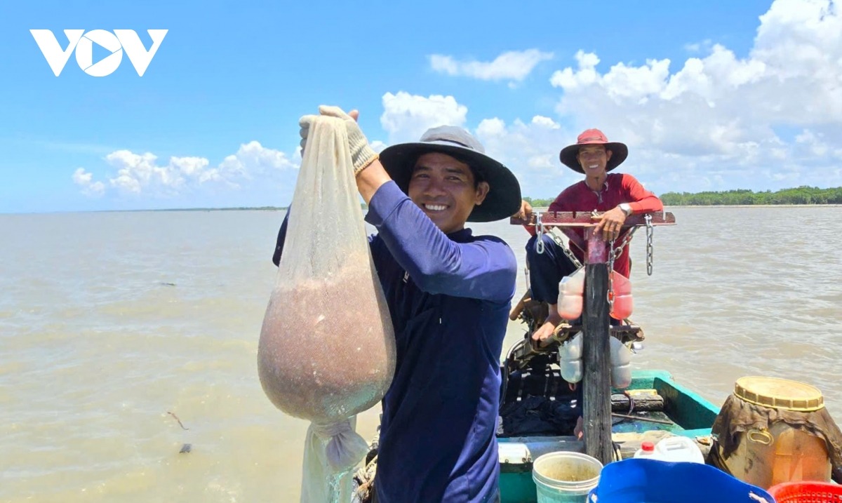 Khai thác ruốc biển