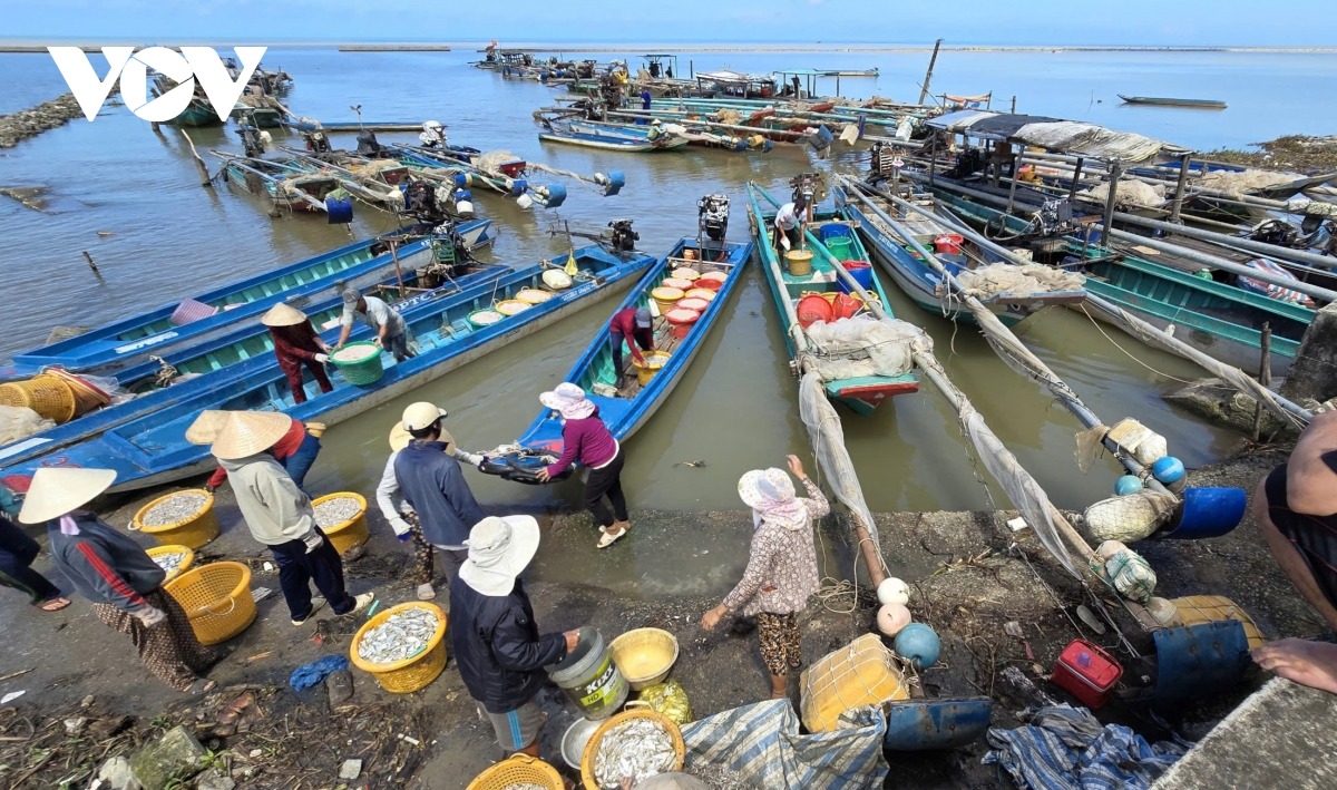 Mùa ruốc biển