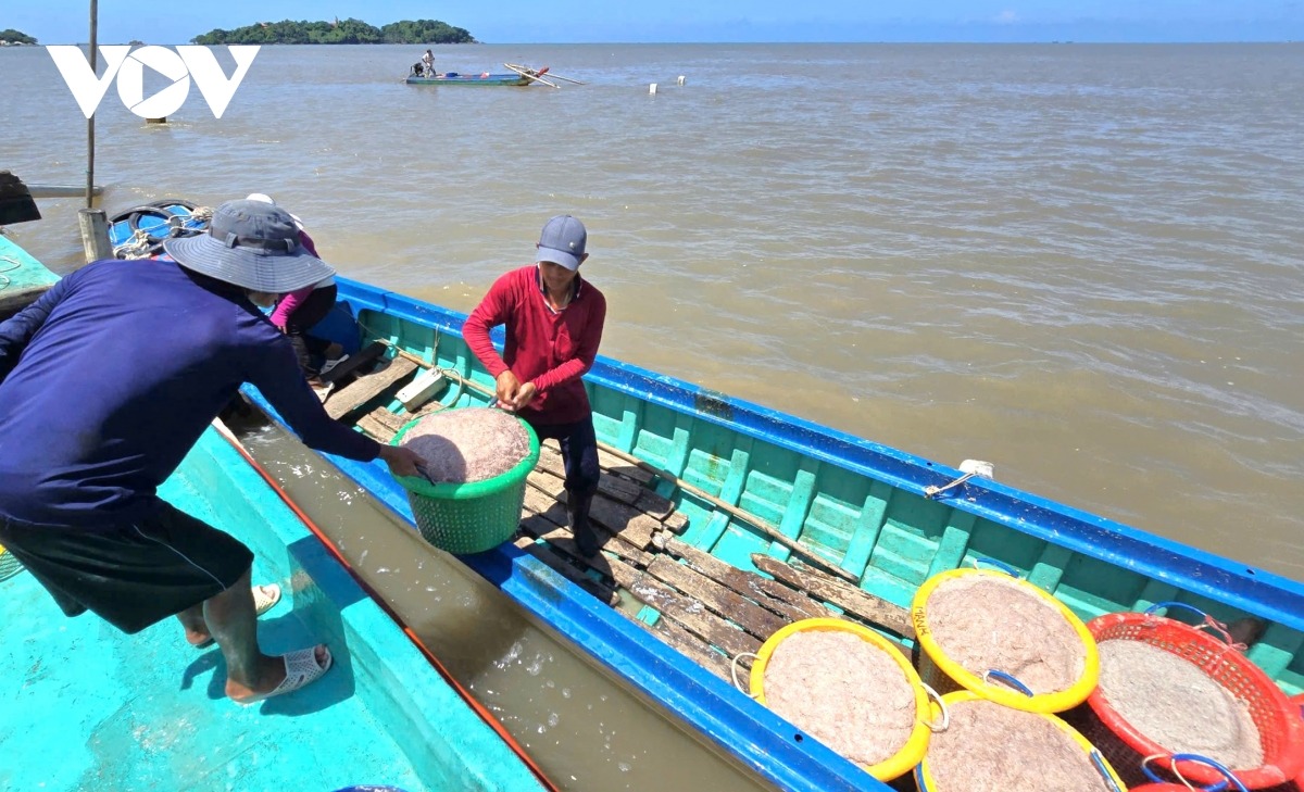 Ghe tải ruốc