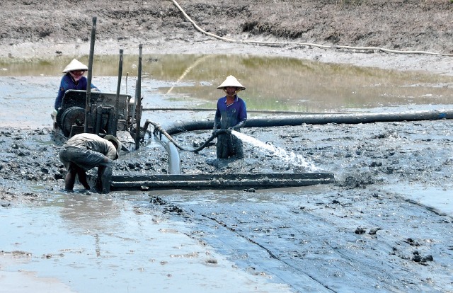 Bài 4: Kỹ thuật nuôi cá nước ngọt và một số bệnh thường gặp Nạo vét bùn đáy ao
