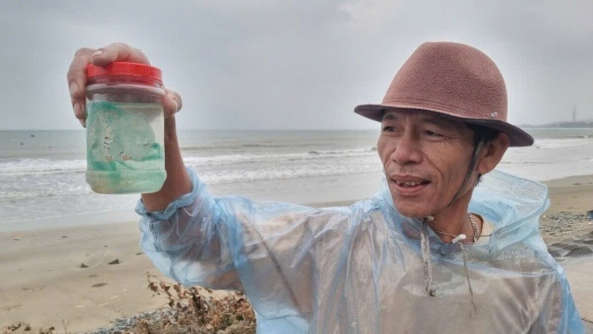 Ngư dân miền Trung trúng đậm tôm hùm nhí tôm hùm nhí