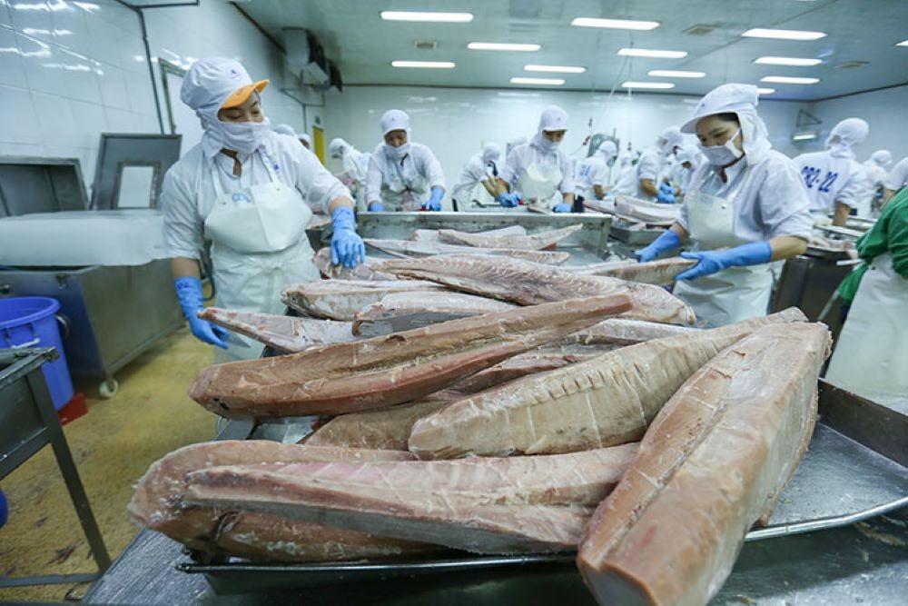 Xuất khẩu cá ngừ