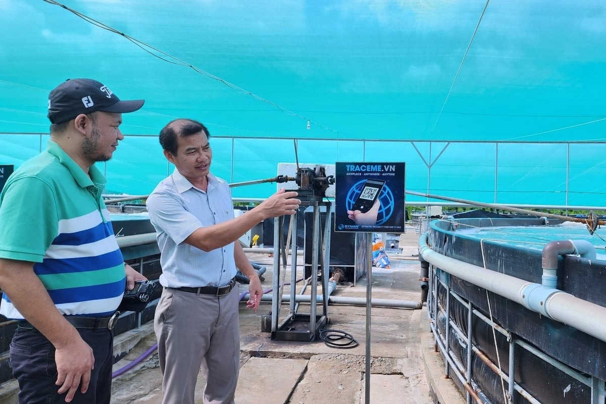 Ba từ khóa quan trọng của ngành thủy sản Chuyển đổi số trong nuôi trồng thủy sản
