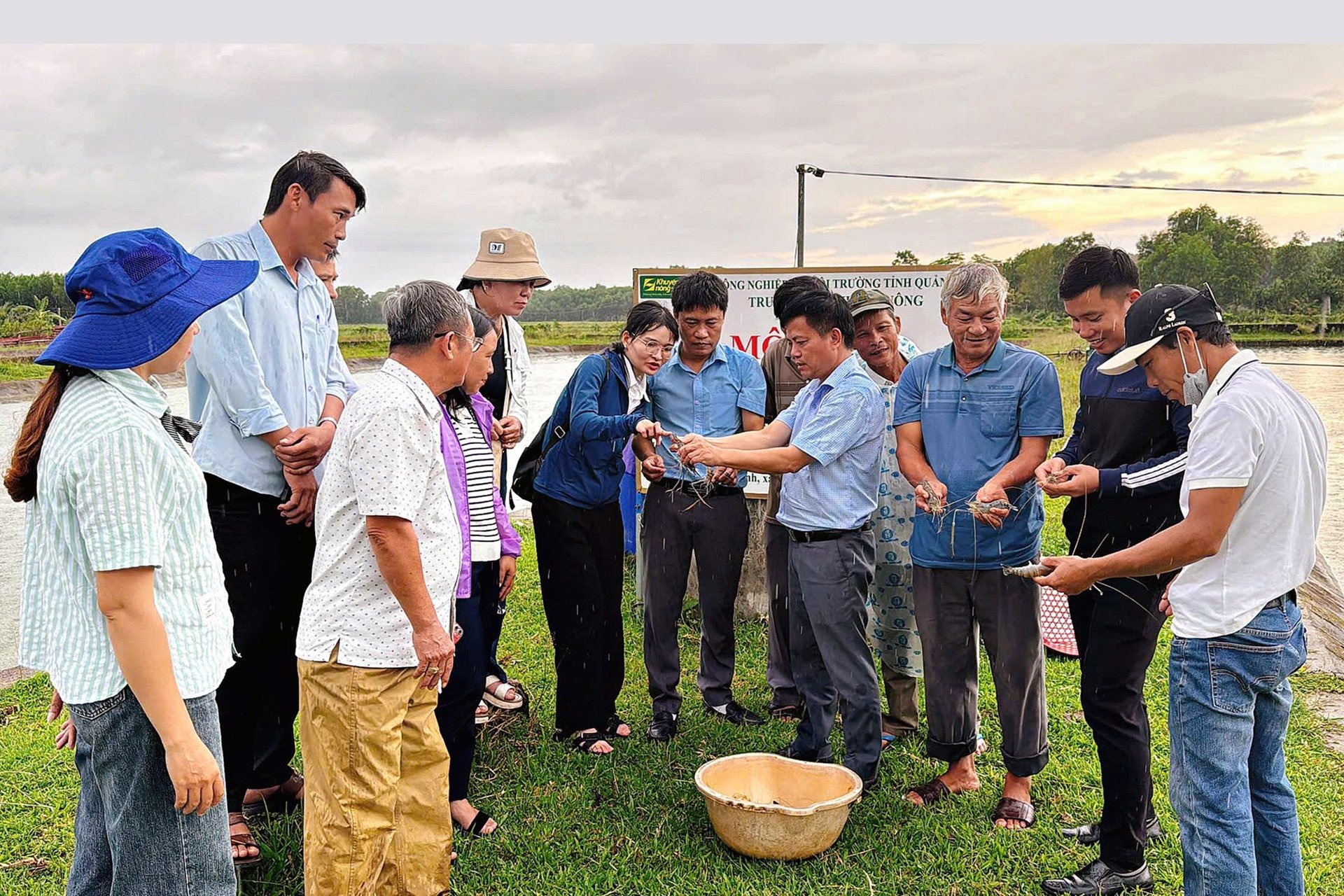 Nuôi tôm càng xanh lãi ròng 400 triệu đồng/ha Nuôi tôm càng xanh