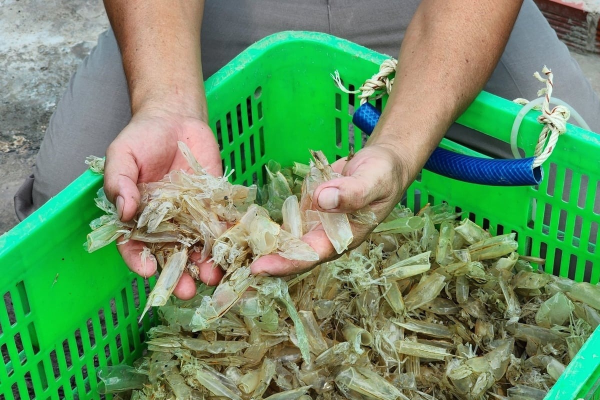 Phụ phẩm đầu tôm