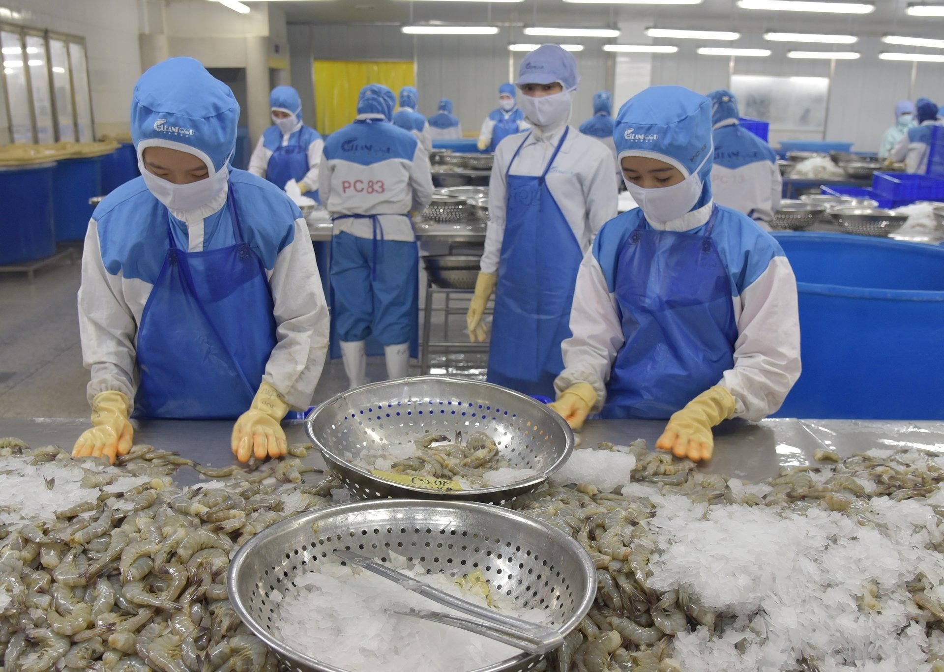 Xuất khẩu thủy sản