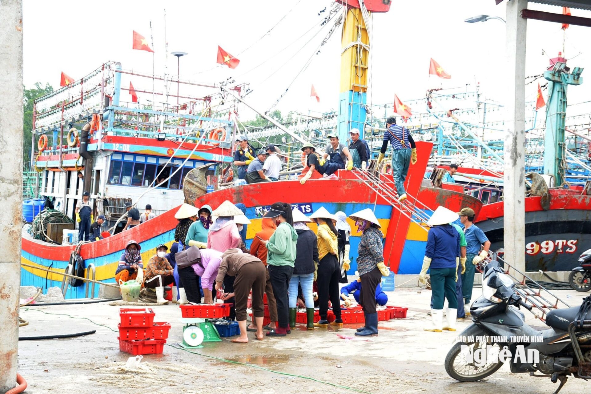 Vì sao ngư dân không mặn mà bảo hiểm tàu cá? Tàu cá công suất lớn