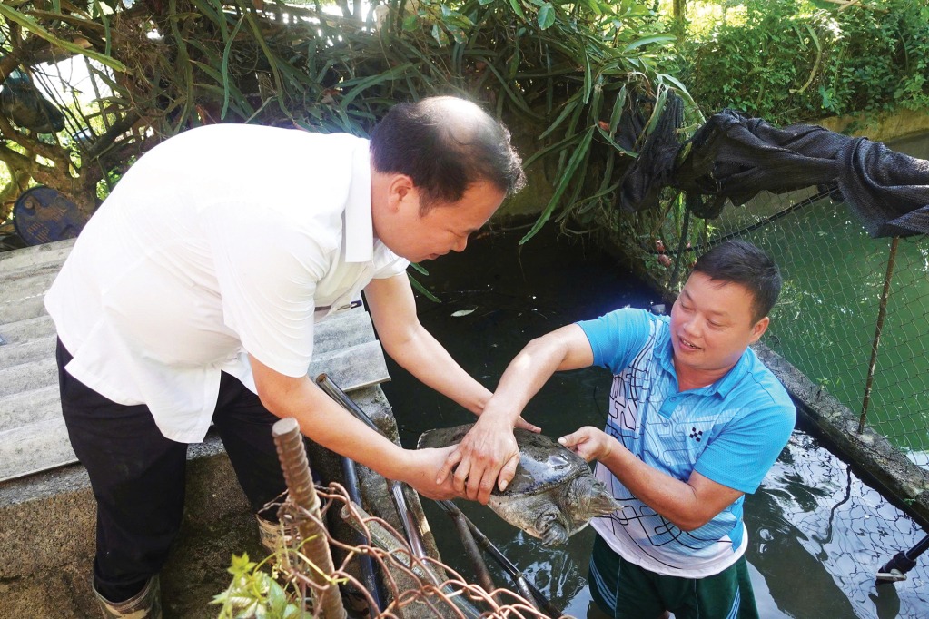 Mô hình nuôi ba ba