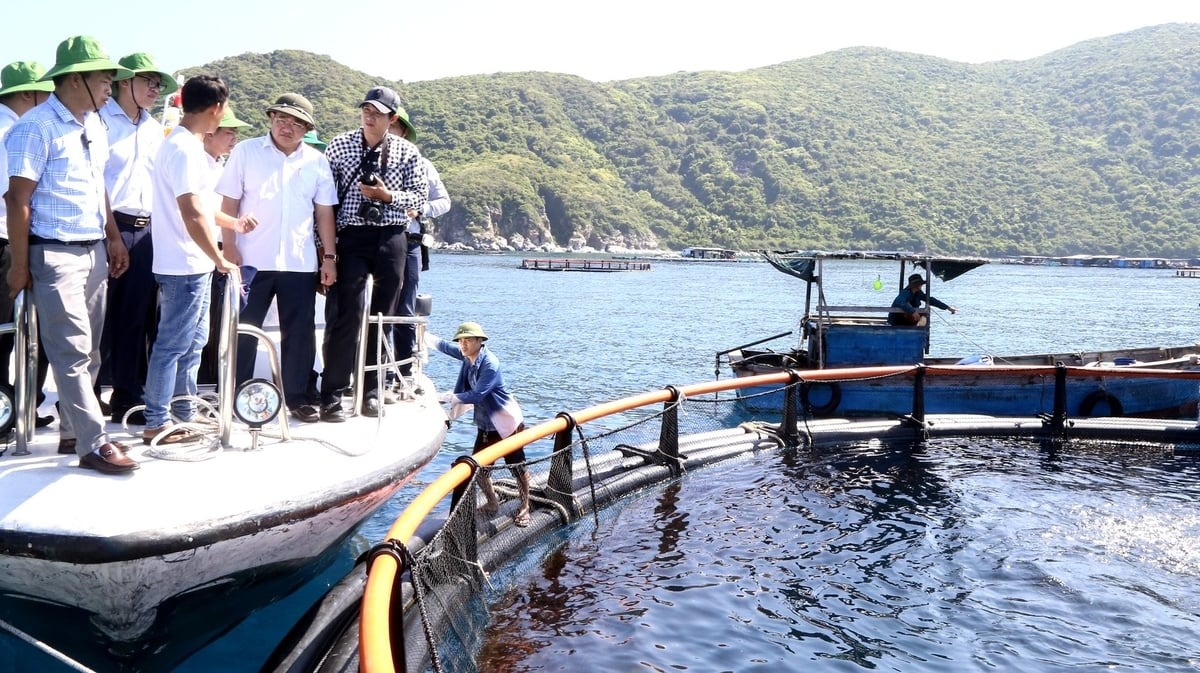 Nuôi biển công nghệ cao: Khai mở tiềm năng, vượt thách thức Phát triển nuôi biển