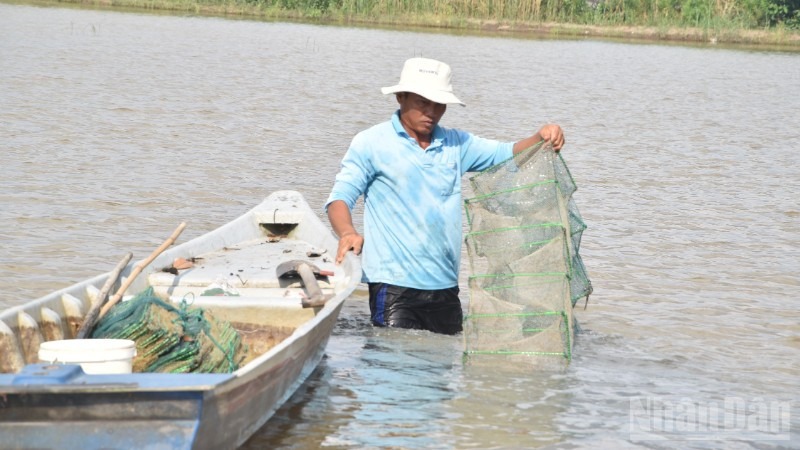 Thủy sản trên đồng ruộng