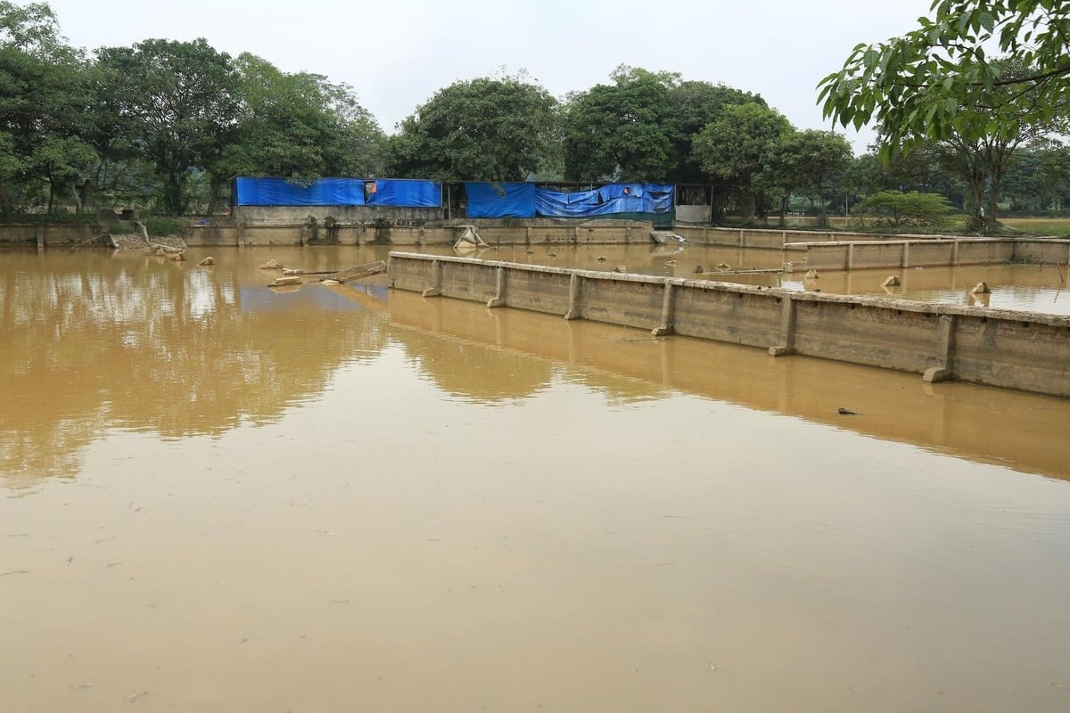 Trên 700ha diện tích nuôi trồng thủy sản tại tỉnh Lào Cai bị thiệt hại do mưa lũ. Ảnh: Thanh Tiến.