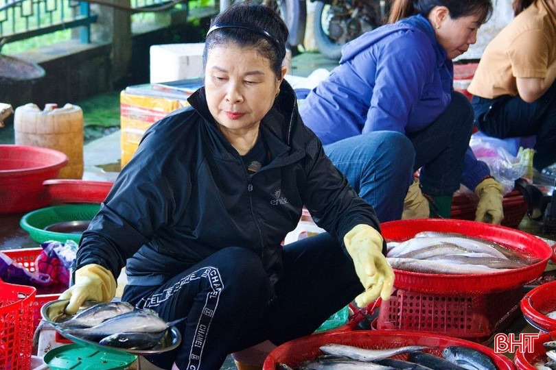 Người dân Hà Tĩnh dè chừng với cá cháo Cá biển