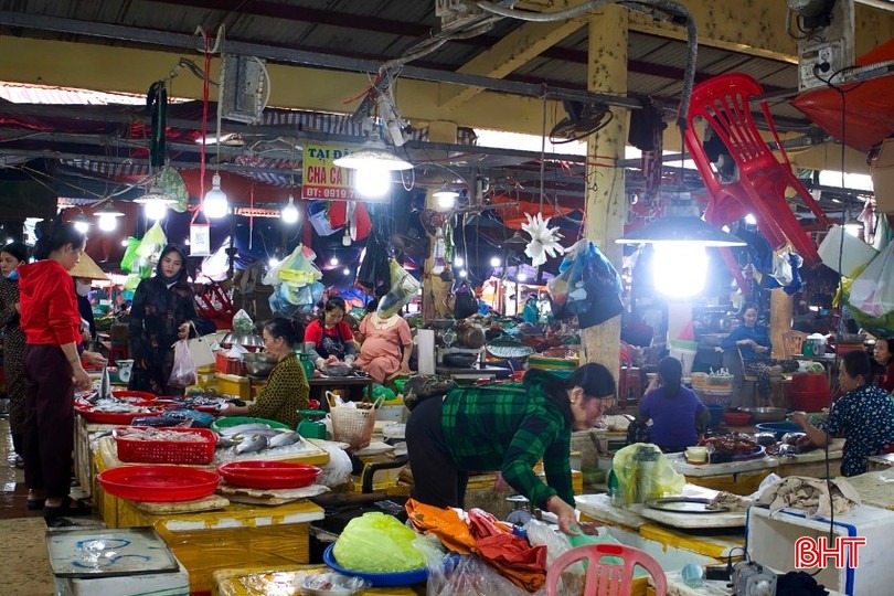 Người dân Hà Tĩnh dè chừng với cá cháo Cá cháo