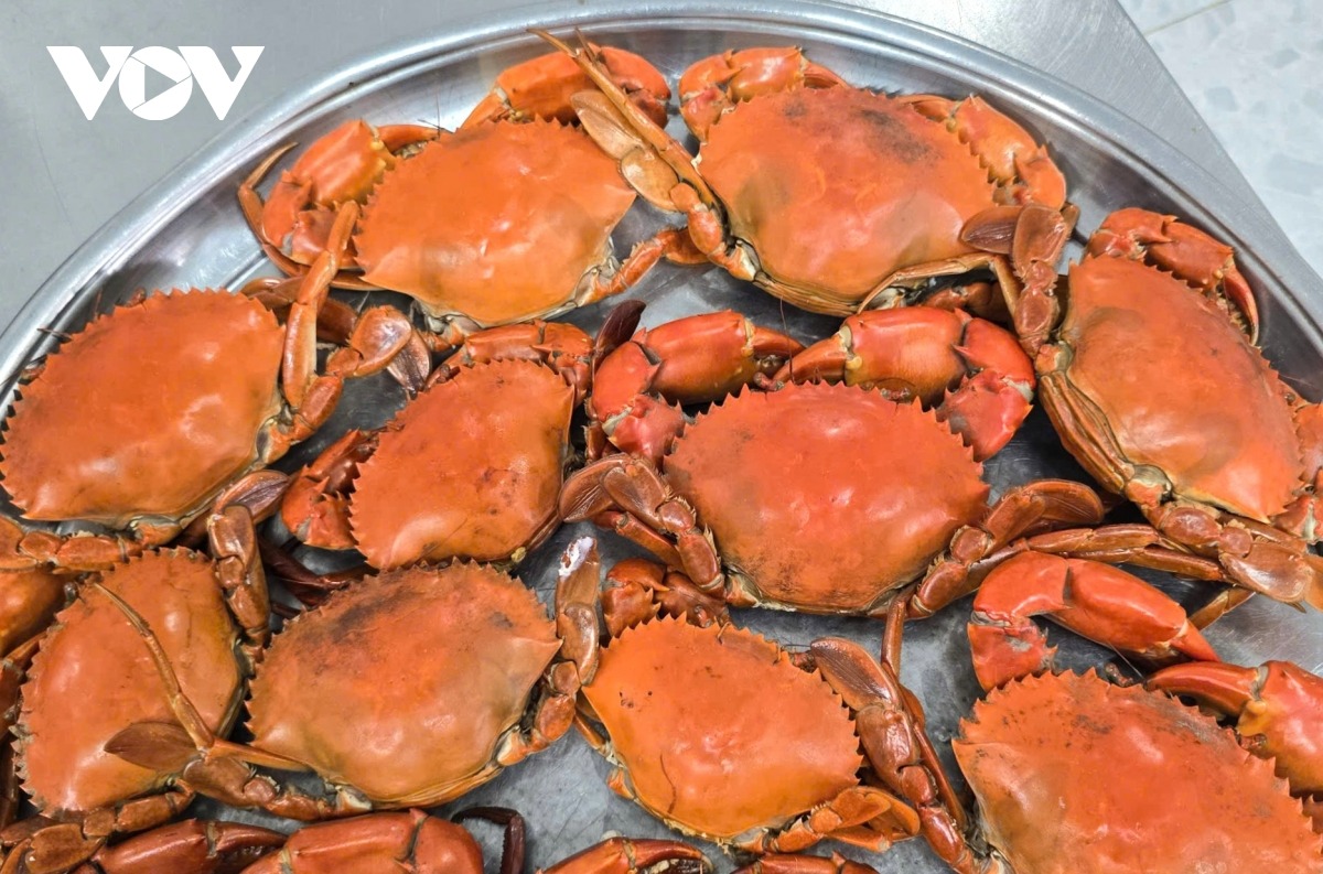 Cua Cà Mua chất lượng