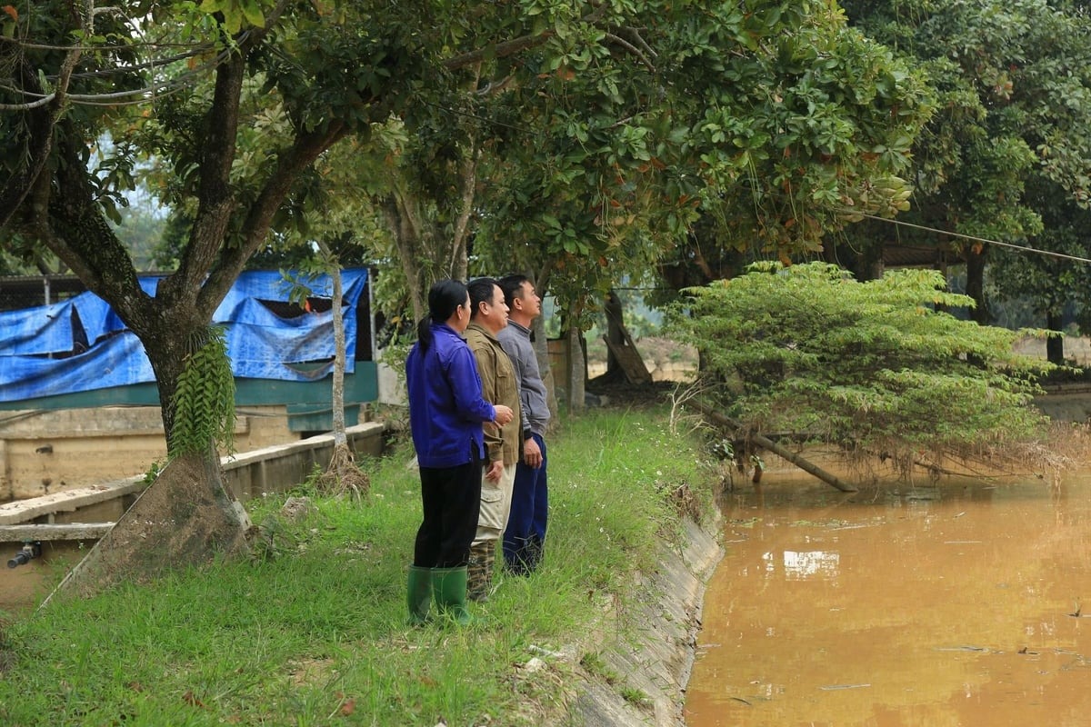 Người nuôi cần ghi chép và lưu giữ hồ sơ trong quá trình sản xuất. Ảnh: Thanh Tiến.