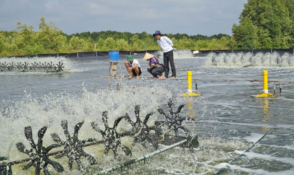 Nuôi trồng thủy sản