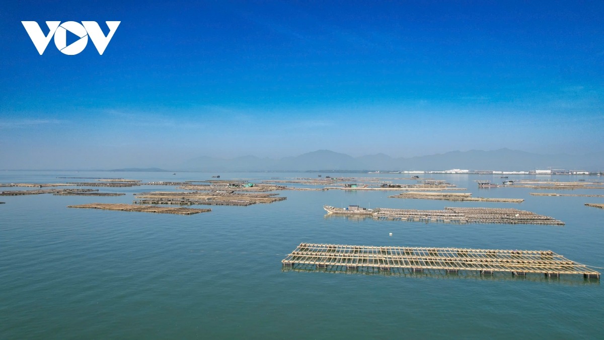 Quảng Ninh là địa phương địa đầu thực hiện quy hoạch và bàn giao nuôi biển cho người dân, các HTX và doanh nghiệp