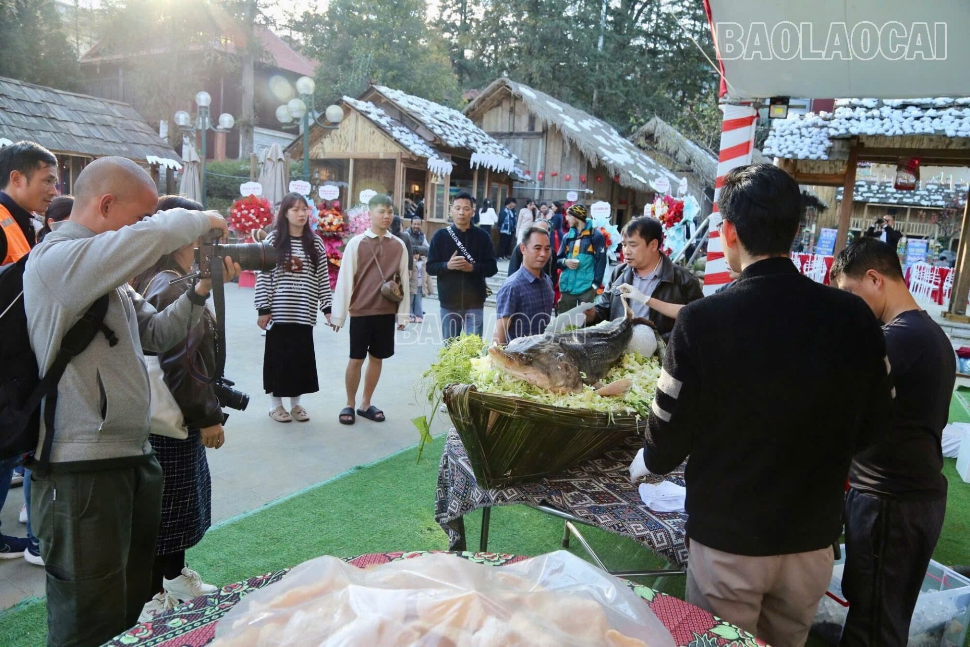 “Báu vật” khổng lồ trong dòng nước lạnh Hoàng Liên Sơn cá tầm