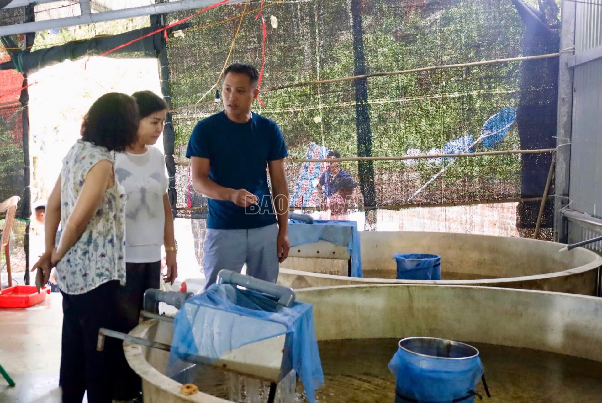 “Báu vật” khổng lồ trong dòng nước lạnh Hoàng Liên Sơn cá tầm