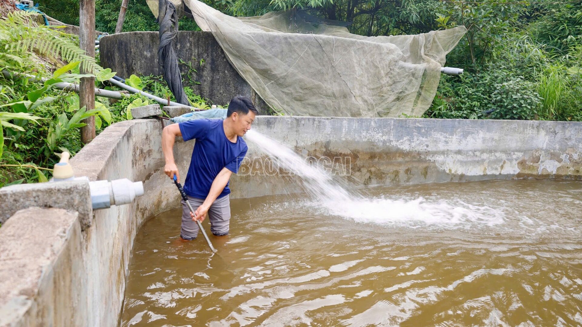 “Báu vật” khổng lồ trong dòng nước lạnh Hoàng Liên Sơn cá tầm