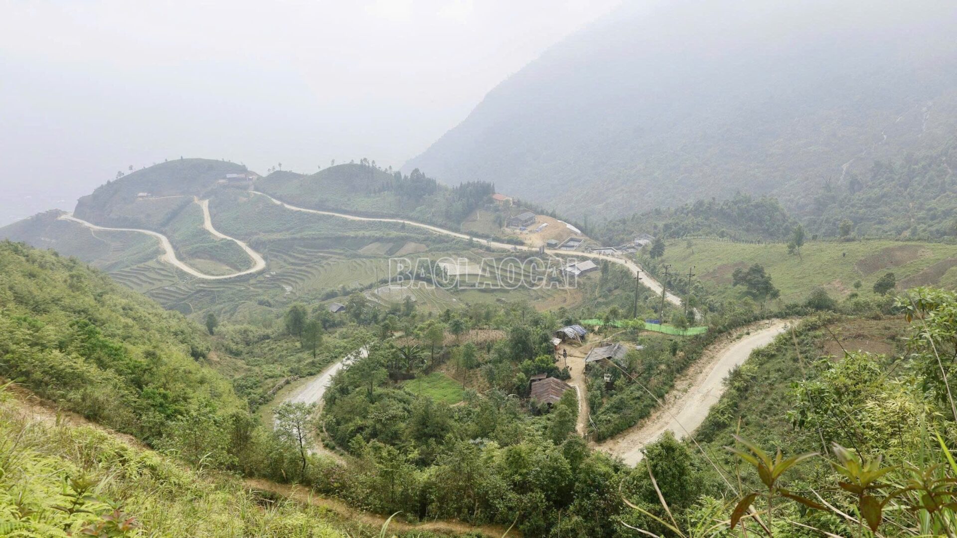 “Báu vật” khổng lồ trong dòng nước lạnh Hoàng Liên Sơn cá tầm