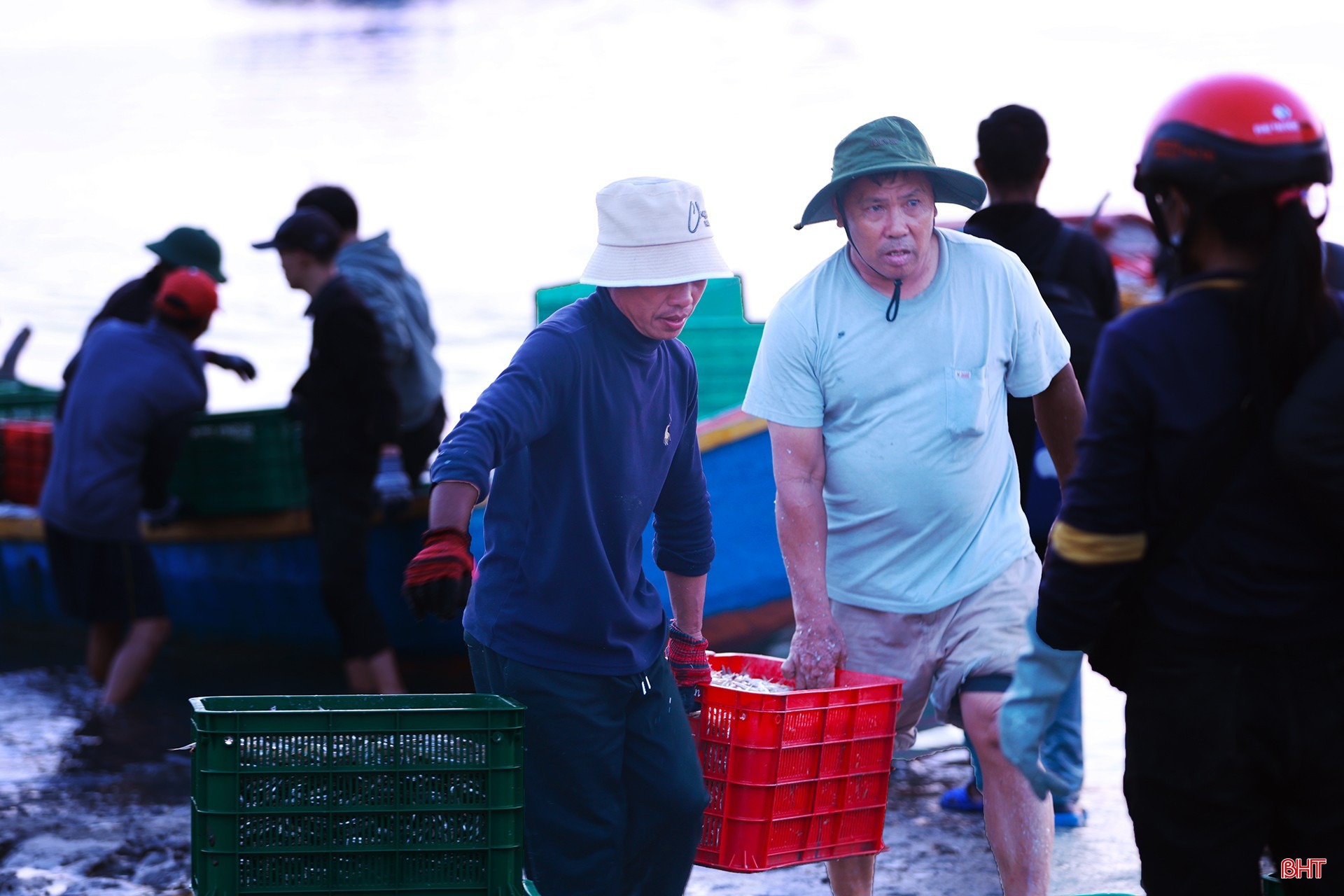 Những mẻ cá cơm tươi rói được vận chuyển nhanh chóng lên bờ để giữ độ tươi ngon, được thương lái thu mua trực tiếp với mức giá ổn định tạo tâm lý phấn khởi cho ngư dân.