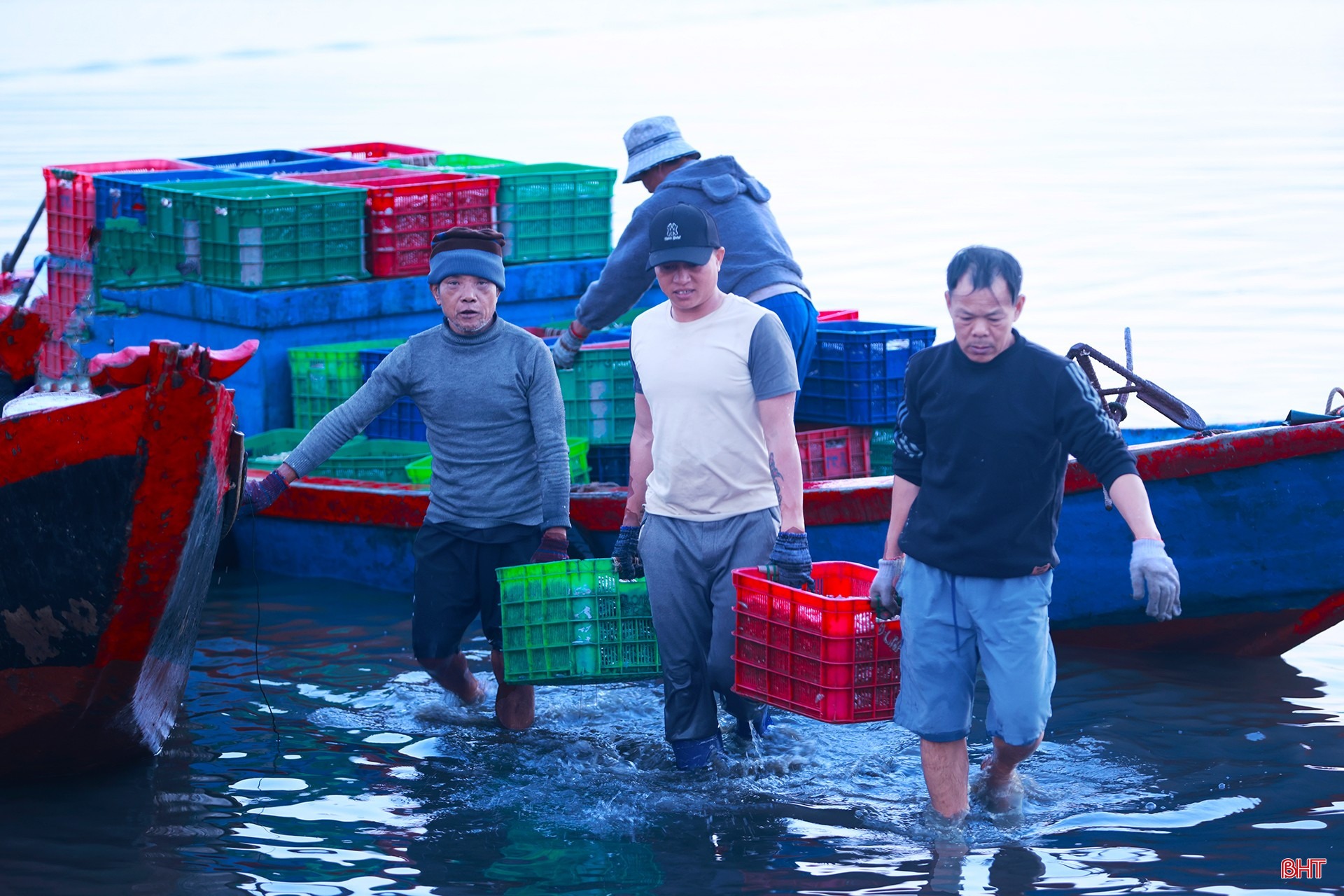 Thuyền của gia đình anh Nguyễn Thái Hoàn (TDP Tam Hải 2) cũng vừa trúng đậm hơn 6 tấn cá cơm. Anh Hoàn vui mừng chia sẻ: "Khởi đầu năm mới thuận lợi như vậy khiến bà con ngư dân rất yên tâm bám biển. Cá xuất hiện sớm, sản lượng khá, giá cả lại ổn định nên anh em ai cũng có thêm động lực ra khơi. Mong rằng thời tiết tiếp tục thuận lợi để những chuyến biển sau vẫn giữ được nhịp khai thác hiệu quả...”.