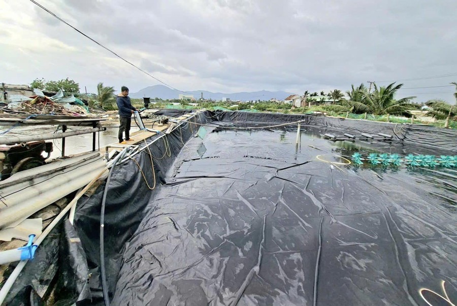 Chuẩn bị ao nuôi