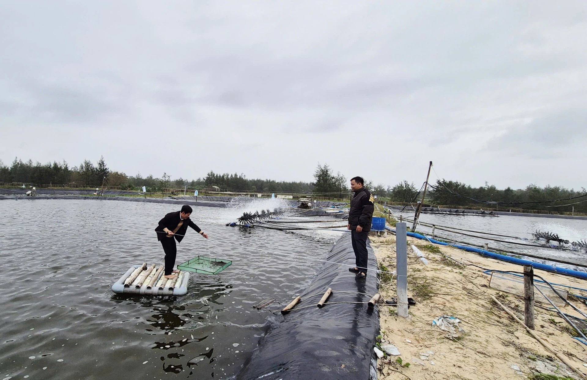 Mô hình nuôi tôm