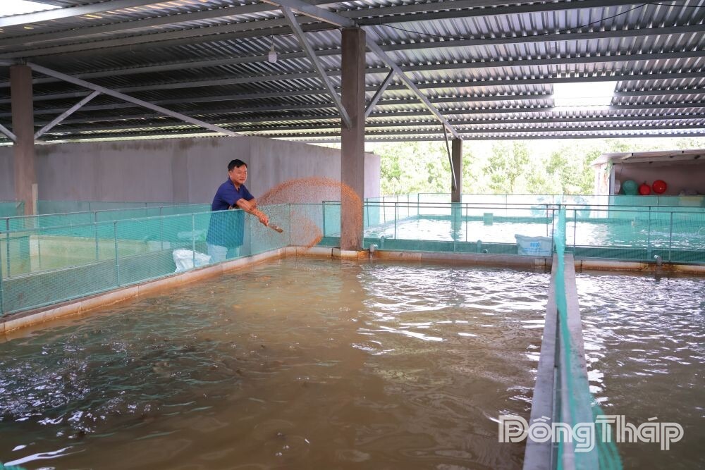 Nuôi thủy sản sạch